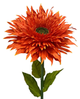 Giant Orange Double Gerbera Flower 