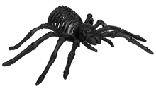 Light-Up Spider Skeleton 