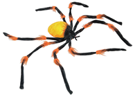 Giant Black & Orange Spider 