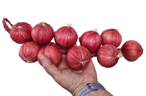 Fake Red Onion String 