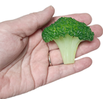 Artificial Broccoli Florets 