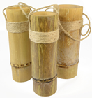 Natural Bamboo Display Pot 