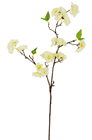 White Cherry Blossom Branch - 82cm 