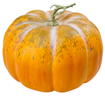 Autumnal Orange Pumpkin - 33cm 