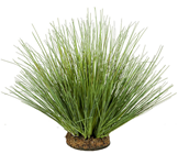 Grass Bush on Base