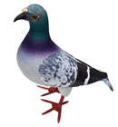 Realistic Foam Pigeon 