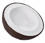 Coconut Half 