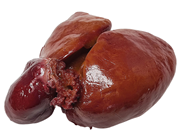 Fake Goose Offal - Heart & Liver 