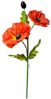 Giant Poppy - 120cm 