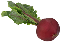 Beetroot 