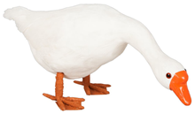 White Goose with Head Down 