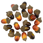 Acorns - Pk.20 