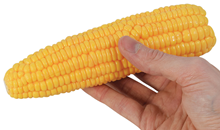 Corn-on-the-Cob 