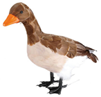 Brown Goose 