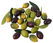 Olive Selection 