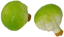 Green Cabbage - 12cm Pk.2 