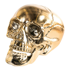 Shiny Gold Skull with Movable Jaw 