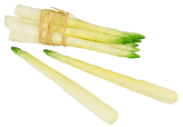 Asparagus Bunch 