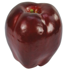 Dark Red Apple 