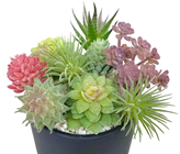 Small Fake Succulent Selection, Pk.9 