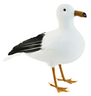Standing Seagull - Black and White