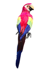 Scarlet Macaw Parrot - 42cm