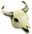 Cow Skull 
