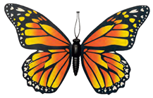 Orange Butterfly - 30 x 20cm 