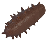 Fake Sea Cucumber 