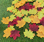 Autumn Leaf Selection - Pk.500 