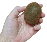 Lifelike Kiwi 