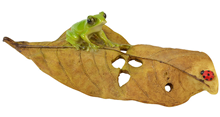 Frog on a Leaf 