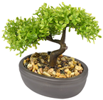 Artificial Jade Bonsai Tree 