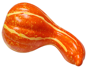 Orange Bottle Pumpkin Gourd 