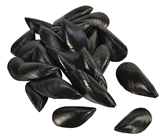 Plastic Mussels - Pk.24 