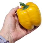 Yellow Bell Pepper 