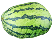 Giant Plush Watermelon 