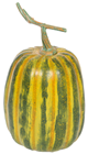 Large Tall Green Pumpkin 