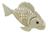 Fish Skeleton 