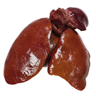 Fake Goose Offal - Heart & Liver 