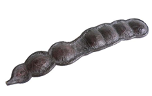 African Seed Pod - 10 x 55 x 4cm 