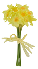 Daffodil Bunch 