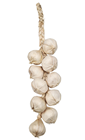 Fake Garlic String 