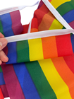 Gay Pride Rainbow Flag Bunting - 20m 