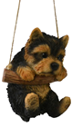 Rocking Yorkshire Terrier Puppy 