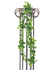 Pothos Garland - 180cm 