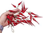 Fake Dried Chilli Garland, Pk.4 