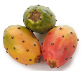 Prickly Pear Cactus Fruit - 3 Assorted 