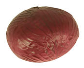 Red Cabbage 