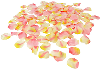 Pink Rose Petals 